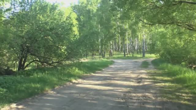 Утренний релакс!!! Поспели огурчики!!! ...и работа!!! смотреть онлайн