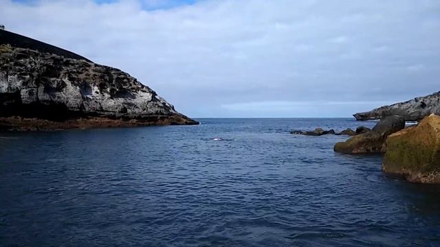 Подводная экскурсия. Тенерифе. смотреть онлайн