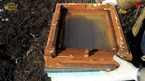 пчеловодство # пасека в апреле  # когда закрывать донья