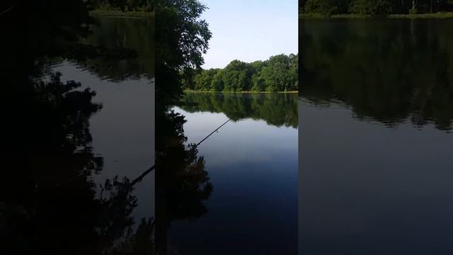 рыбалка на карпа смотреть онлайн