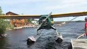 Норземан прилетел