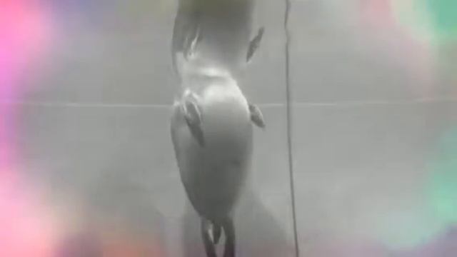 Байкал 2016. День Второй ч3. МУЗЕЙ. (Created with @Magisto смотреть онлайн