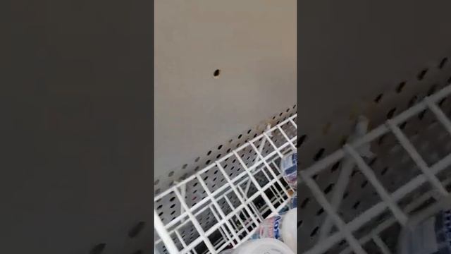 Ярославль-Кострома Аксон. смотреть онлайн