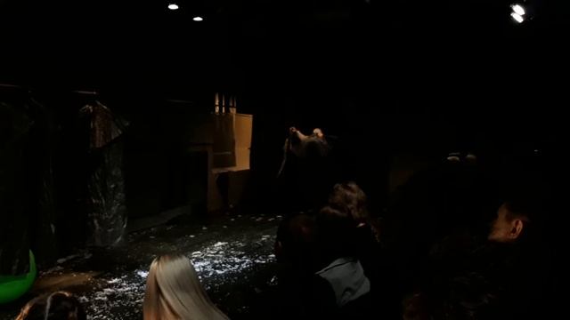 Шинель (Н.Гоголь). Калужский театр, Малая сцена.