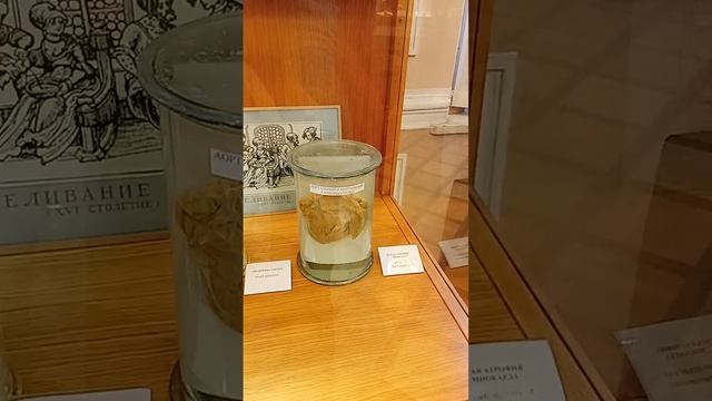 Музей Гигиены СПБ это Питер детка типичный смотреть онлайн