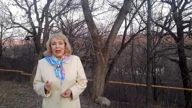 Что за книга ЗАПУСК? смотреть онлайн