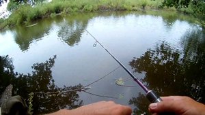 Окунь на микра джиг.