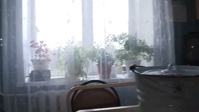 Правда о переезде пенсионеров и инвалидов в Овсищах