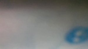 Голубка(О, голубка моя, как тебя я люблю,как ловлю я за рокотом моря дальнюю песнь твою(наброски)