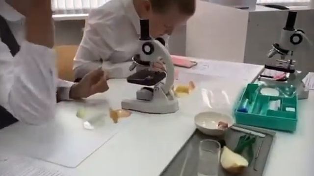 Образовательный центр «Точка Роста»