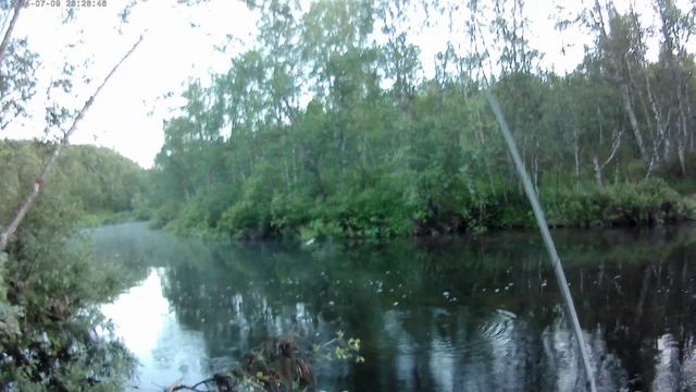 Деревья осознанно мешают рыбалке смотреть онлайн