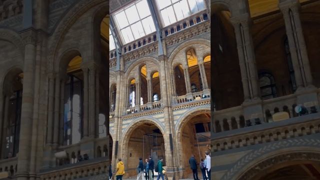 Natural History Museum (main hall inside) - London, England UK