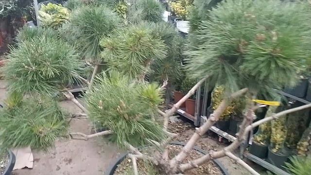 1000104630.mp4 смотреть онлайн