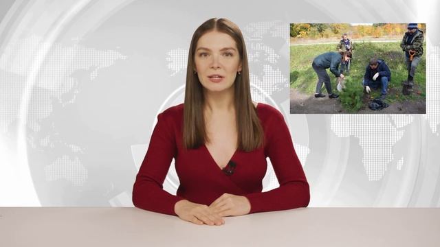 Сосновая аллея