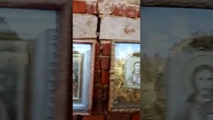 в деревне Нюховка