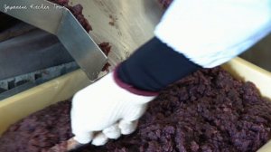 太宰府名物！大人気の梅が枝餅店「茶房きくち」の製造シーンに密着！ Japanese street food｜梅が枝餅 | Японская уличная еда