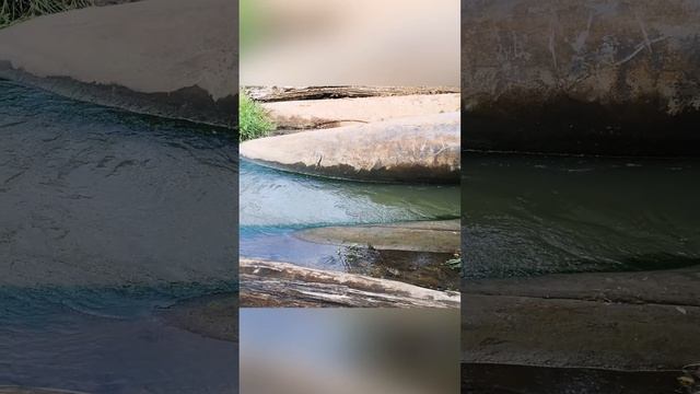 усадьба Приютино смотреть онлайн