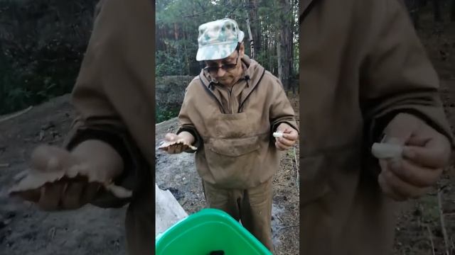 Первые капченые окуни в кастрюле смотреть онлайн