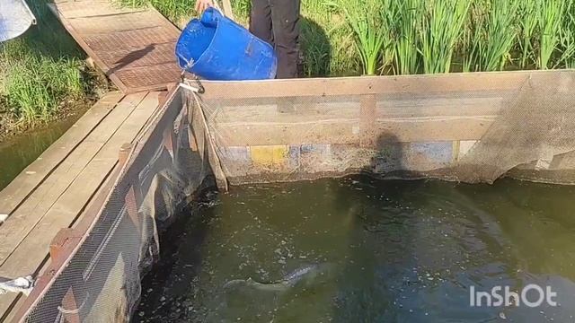 7 июня 2024 г. смотреть онлайн