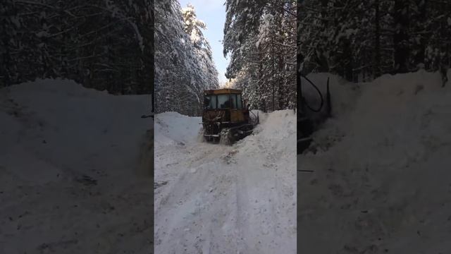 Лес, дорога, зима, 75 могёт , Киров, слободской смотреть онлайн