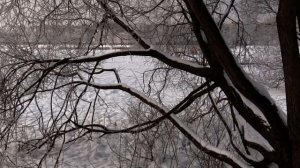 Зима в Санкт-Петербурге 2018 г.