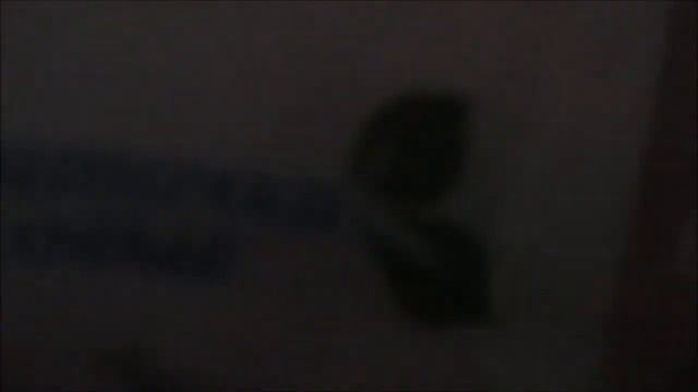 Био камин! смотреть онлайн