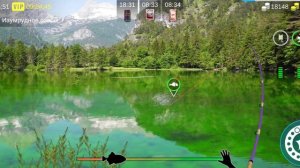 Как поймать Усача Обыкновенного?? Задание.