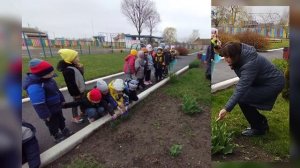 Прогулка "Наблюдение за сезонными изменениями на участке"