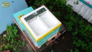 ПЧЕЛОВОДСТВО. ЗАСЕЛЕНИЕ НУКЛЕУСА ЛЕТНОЙ ПЧЕЛОЙ + АММИАЧНАЯ СЕЛИТРА смотреть всем