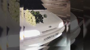 райкано . песня пушка чесно говоря ☝✌