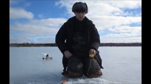 Закрытие Зимнего сезона 2018-2019!  Ловля Окуня на Блесну!