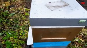 верхняя вентиляция, способы зимовки и варианты вентиляции