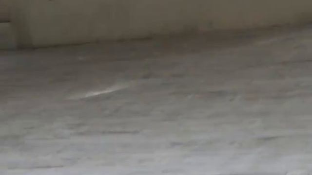 POV-MAC! смотреть онлайн