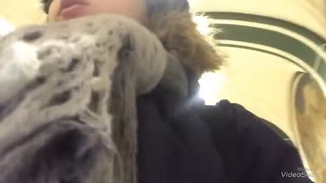 В зоологическом музее МГУ смотреть онлайн