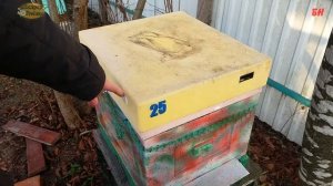 пчеловодство.  сбор прополиса - готовимся с осени, правильная - вентиляция хорошая зимовка