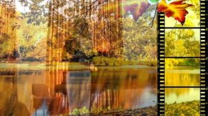 А. Науменко. Бах Сицилиана. Монюшко Прялка. Архангельское. Франция Кольмар. 2003 г. Сцены 27,28.