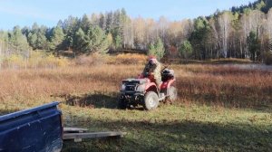 Осень! Мы в тайге. начало!