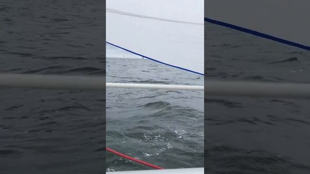 Unity line 2017 janmor 25 cz.2 смотреть онлайн