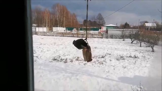 "Больше золота! Ещё больше золота!" Белого золота!