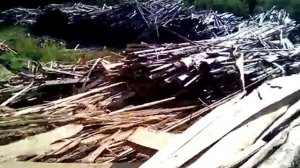 Природа в опасности