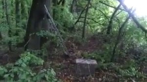 Ловля пчел, роёв 3 ( установка ловушек)