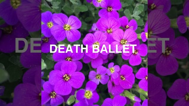 Desecration Opera смотреть онлайн