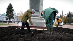 Осенняя посадка тюльпанов в Твери