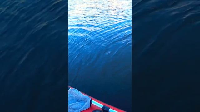 Рыбалка на Волге с ночёвкой смотреть онлайн