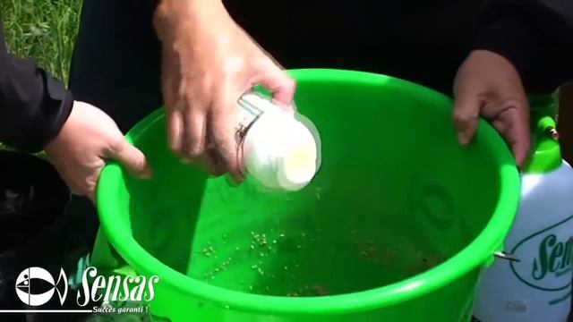 Sensas   Colle à l'Italienne смотреть онлайн