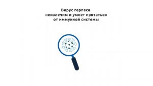 Вирусы простого герпеса (ВПГ)