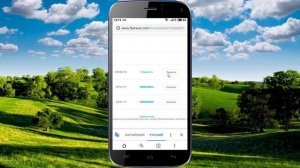 Как вручную обновить смартфон MEIZU M6 NOTE