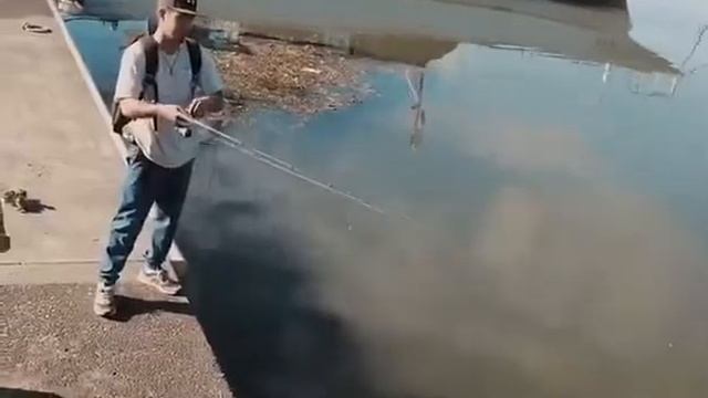 Section lightweight portable small insect rod Heikengluya rod drop wheel full Fuji spinning wheel смотреть онлайн