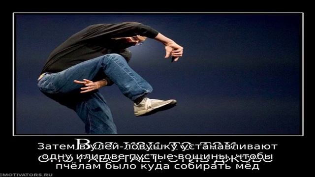 Хитрости пчеловодства — ловушки для пчел смотреть онлайн