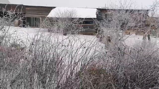 С УТРА КРАСОТИЩА/ТУШЁНКА БЕЗ МЯСА, ВОТ И ГОСТ🤦♀️#блогер#ютуб#зима#зима2022#гост#продукты#еда#тушен смотреть онлайн